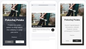 reklamy graficzne w Google Ads