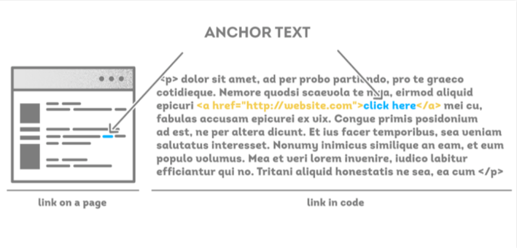 Anchor text w tekście i w kodzie strony. 